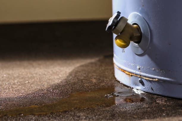 Best Flood damage cleanup  in Oakland, MD