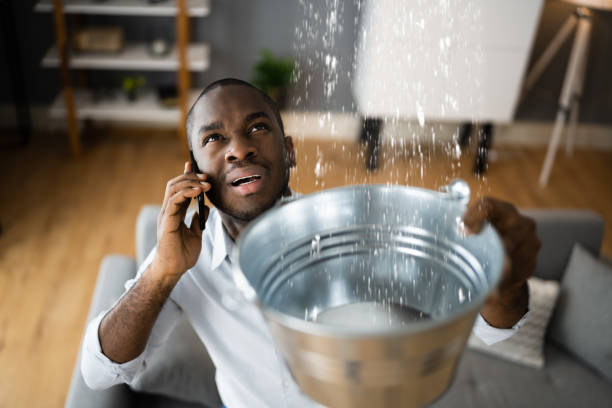 Professional Water damage restoration in Oakland, MD