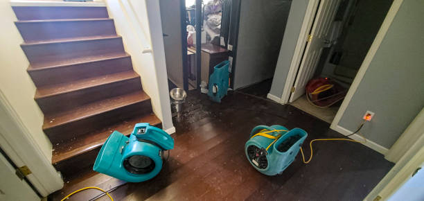 Best Local water damage restoration  in Oakland, MD