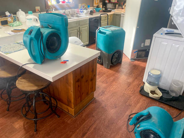 Best Carpet water damage restoration  in Oakland, MD