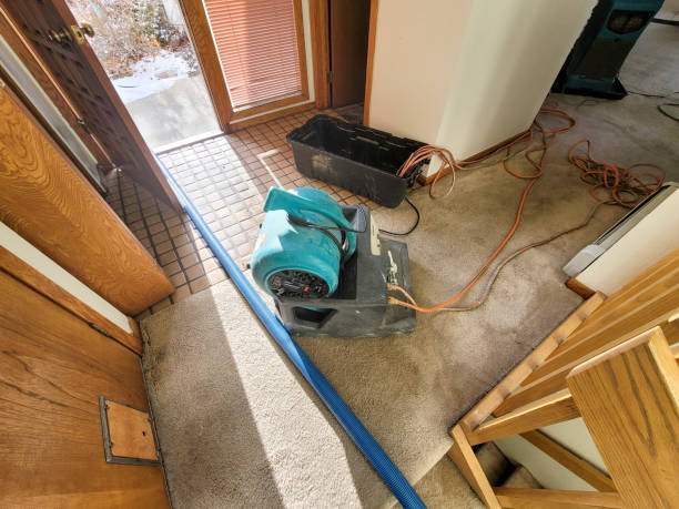 Best Residential water damage restoration  in Oakland, MD
