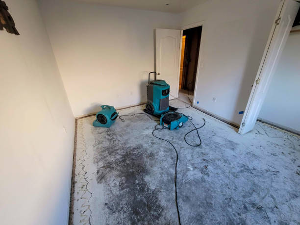  Oakland, MD Water damage restoration Pros