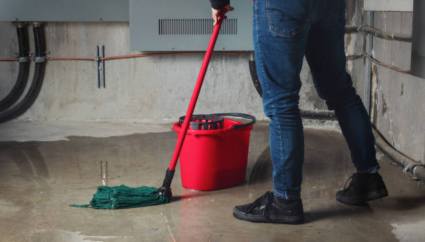 Best Local water damage restoration  in Oakland, MD