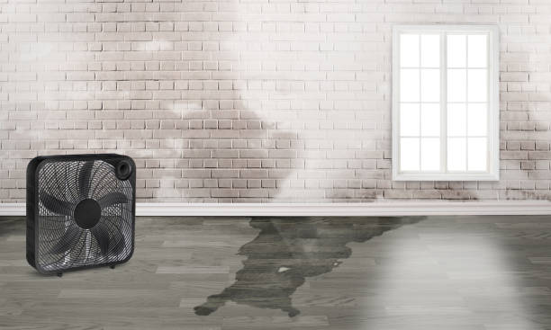 Best Flood restoration services  in Oakland, MD