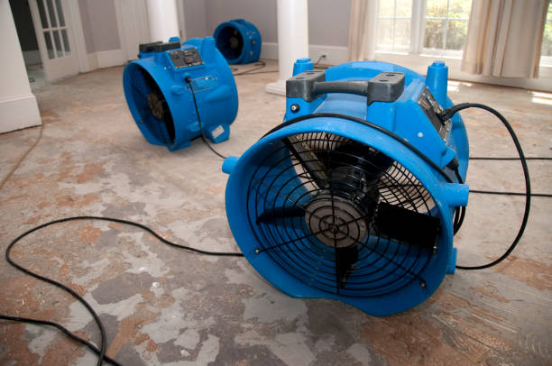 Best Sewage cleanup and water damage restoration  in Oakland, MD
