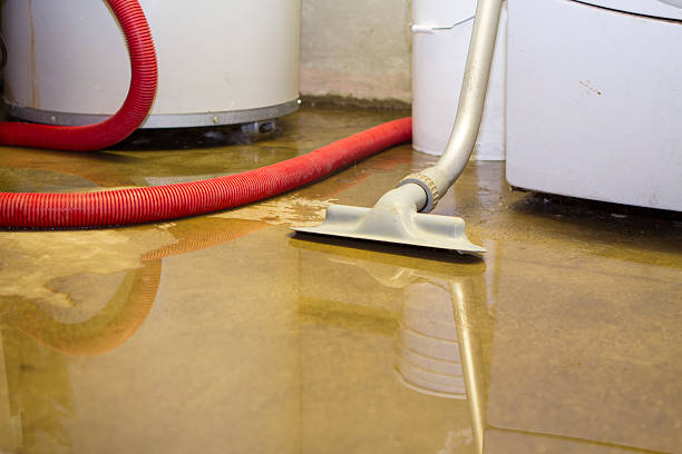 Best Sewage cleanup and water damage restoration  in Oakland, MD