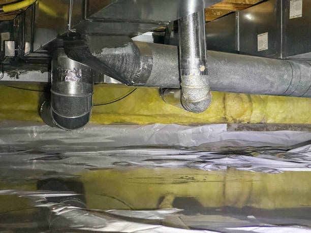 Best 24/7 water damage repair  in Oakland, MD