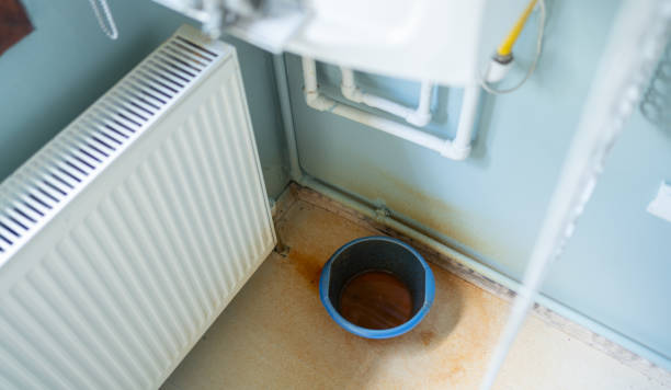 Best Basement water damage restoration  in Oakland, MD