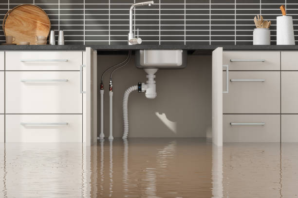 Best Water damage restoration near me  in Oakland, MD