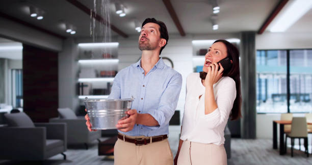 Best Water damage cleanup near me  in Oakland, MD