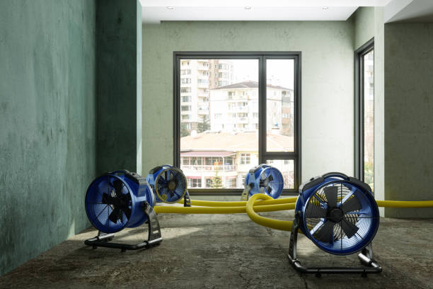 Best Basement water damage restoration  in Oakland, MD